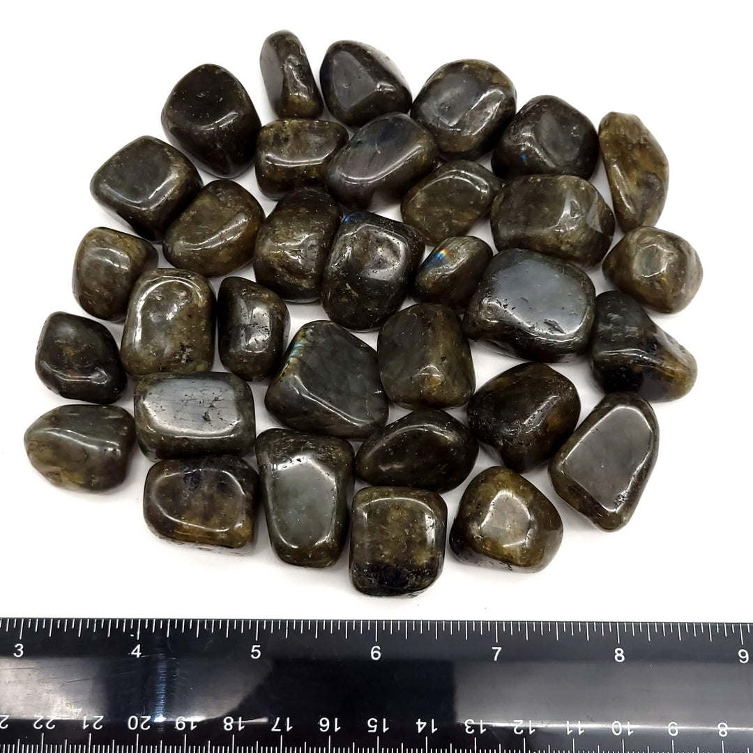 Labradorite Tumbled Stone 1 LB - Funky Stuff