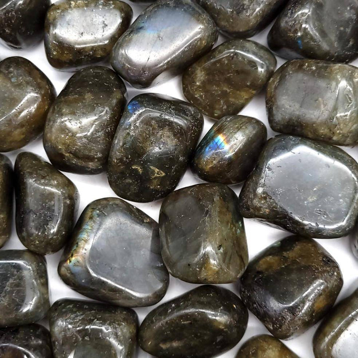 Labradorite Tumbled Stone 1 LB - Funky Stuff