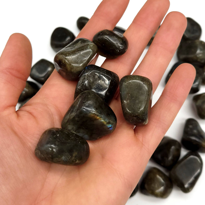 Labradorite Tumbled Stone 1 LB - Funky Stuff