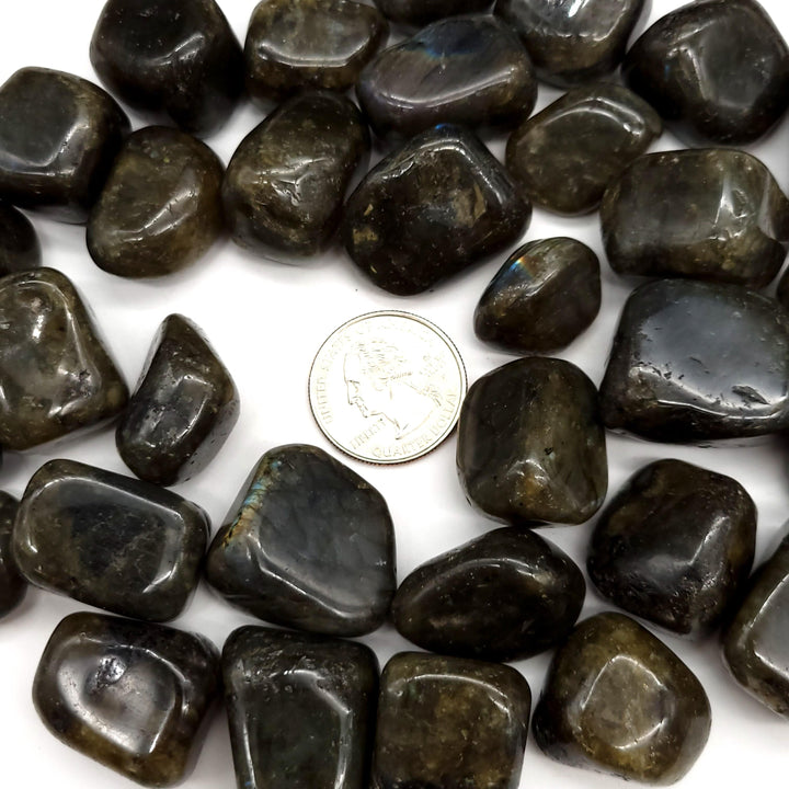 Labradorite Tumbled Stone 1 LB - Funky Stuff