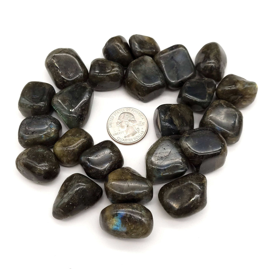 Labradorite Tumbled Stone - Funky Stuff