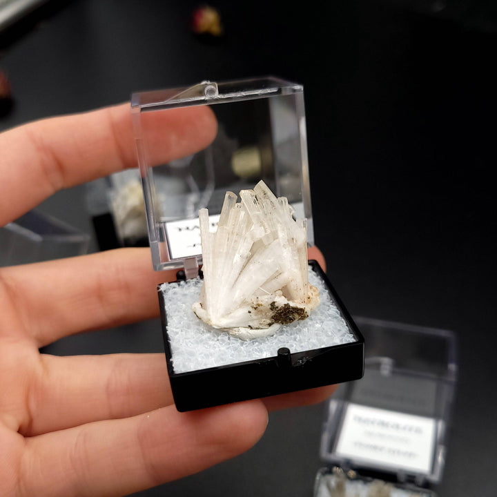 Natrolite (Thumbnail Case Specimen) - Funky Stuff