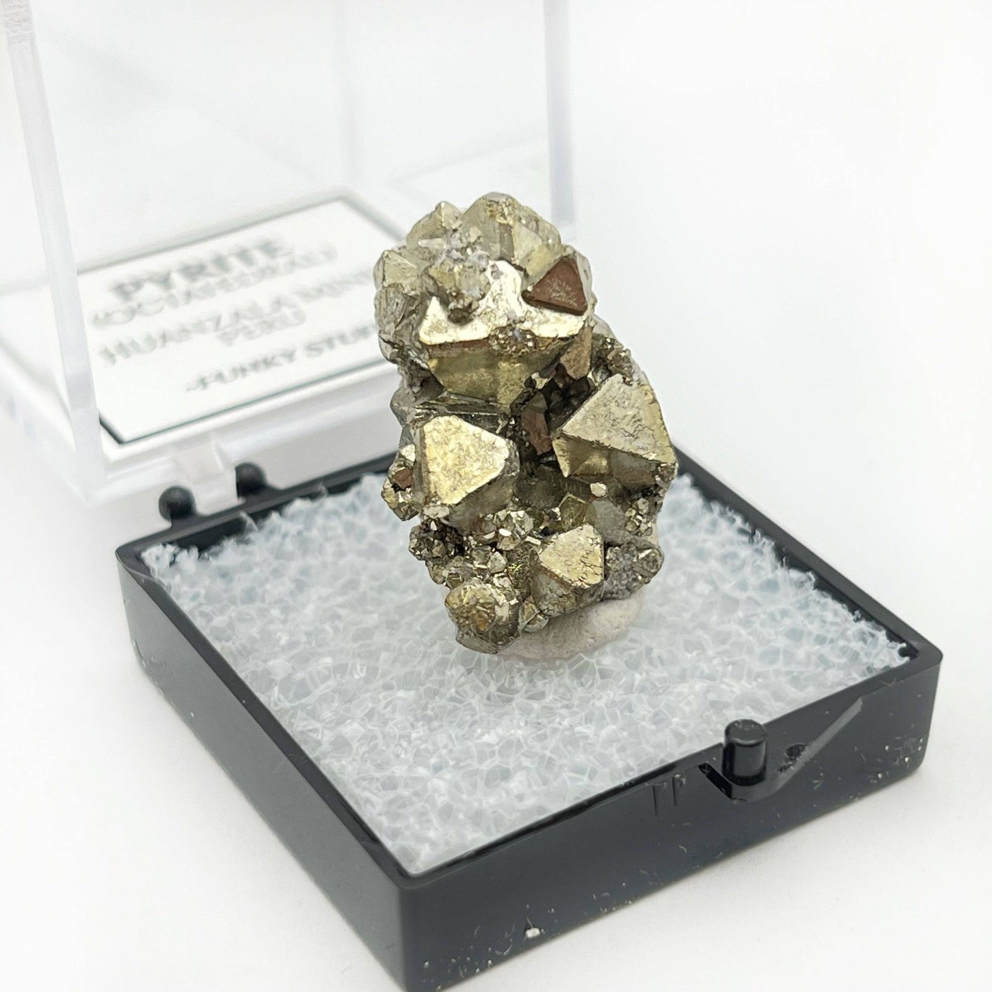Octahedral Pyrite (Thumbnail Case Specimen)