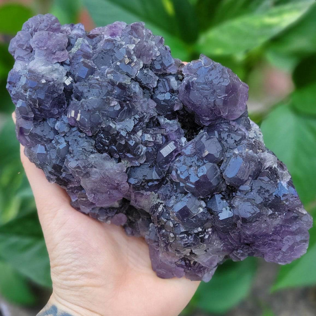 Purple Fluorite - Fujian Province - Funky Stuff