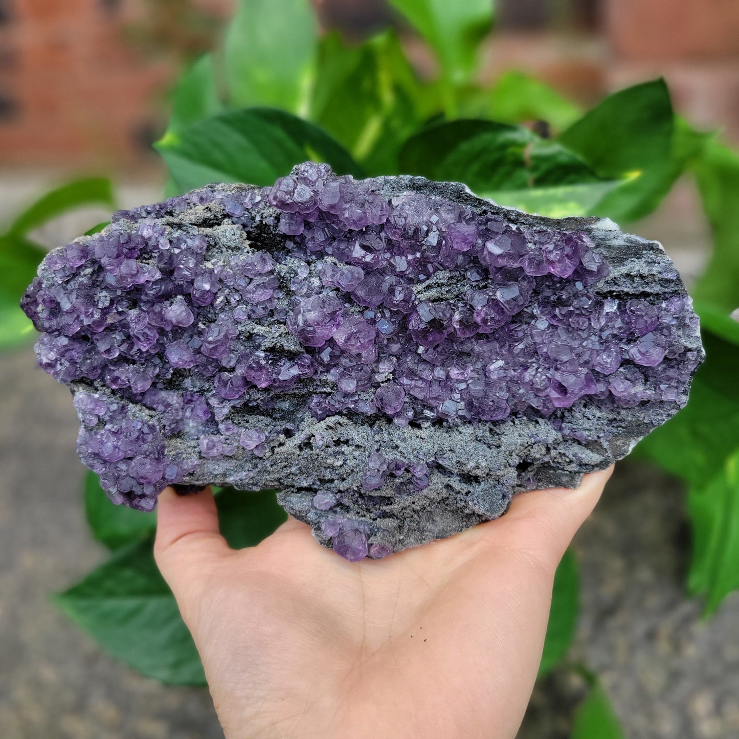 Purple Fluorite - Fujian Province