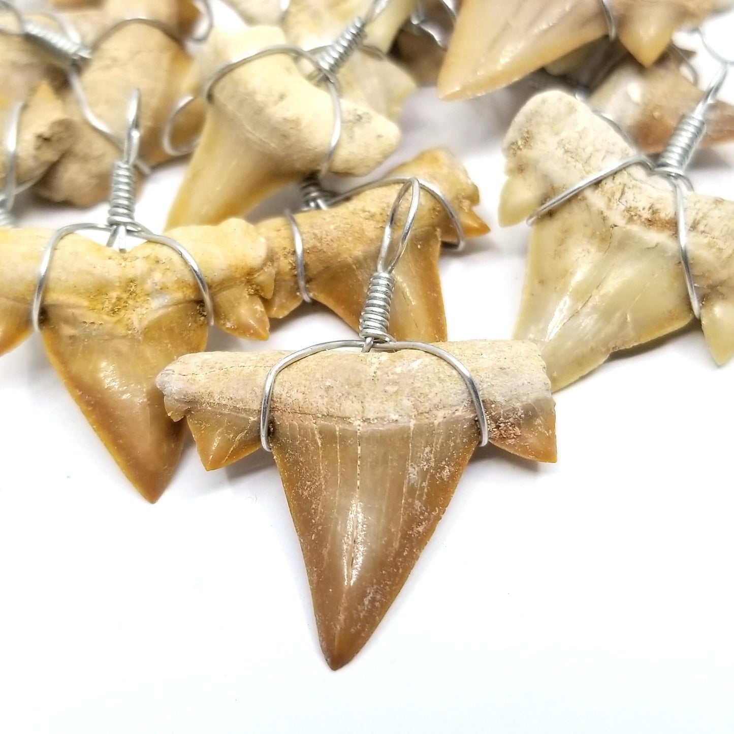 Shark Tooth Pendant - Funky Stuff