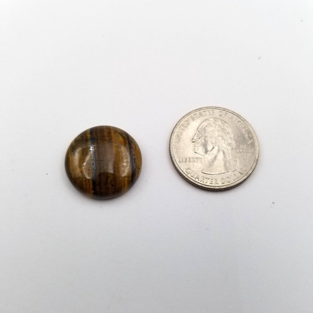 Tiger's Eye Round Cabochon 20x20mm - Funky Stuff