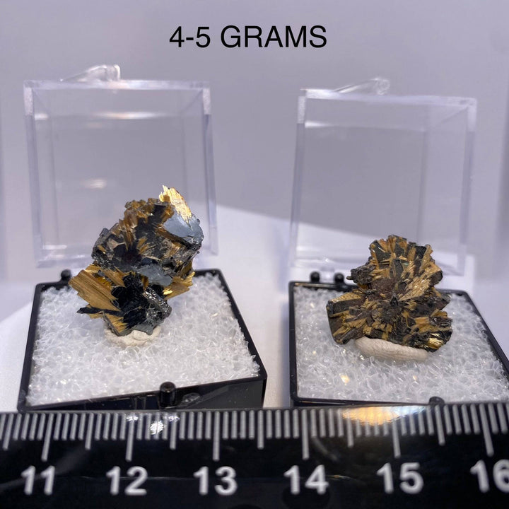 Golden Rutile on Hematite (Thumbnail Case Specimen) - Funky Stuff