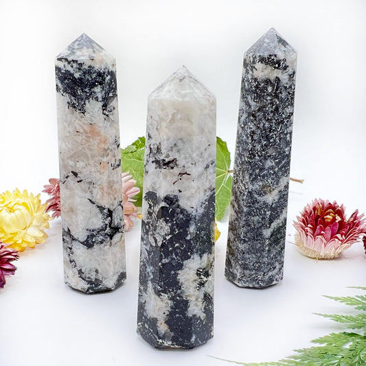 Black Tourmaline with Quartz Tower