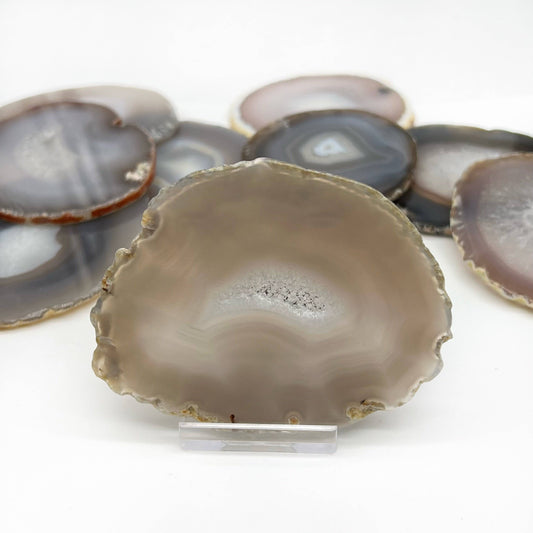 Agate Slice (Natural Color) - Funky Stuff