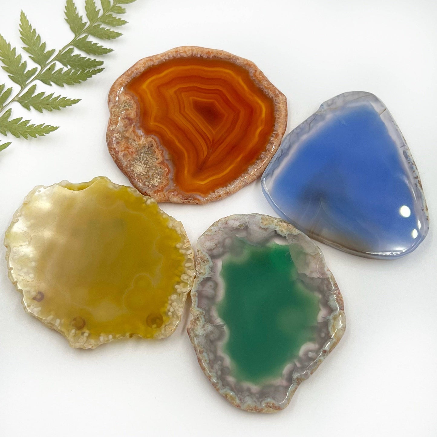 Agate Slice (Dyed)