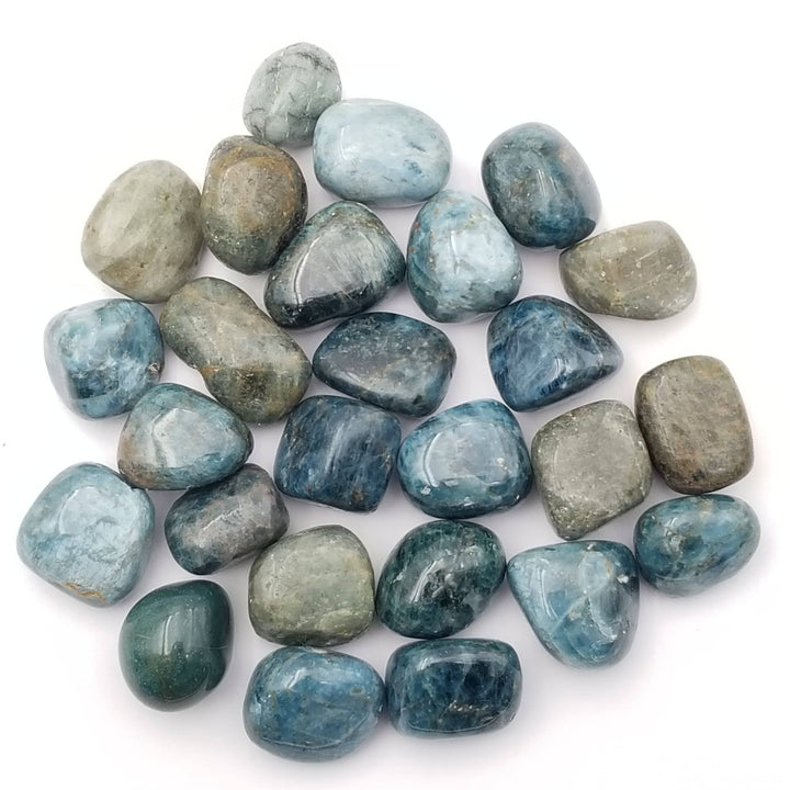 Blue Apatite Tumbled Stones 1 lb - Funky Stuff