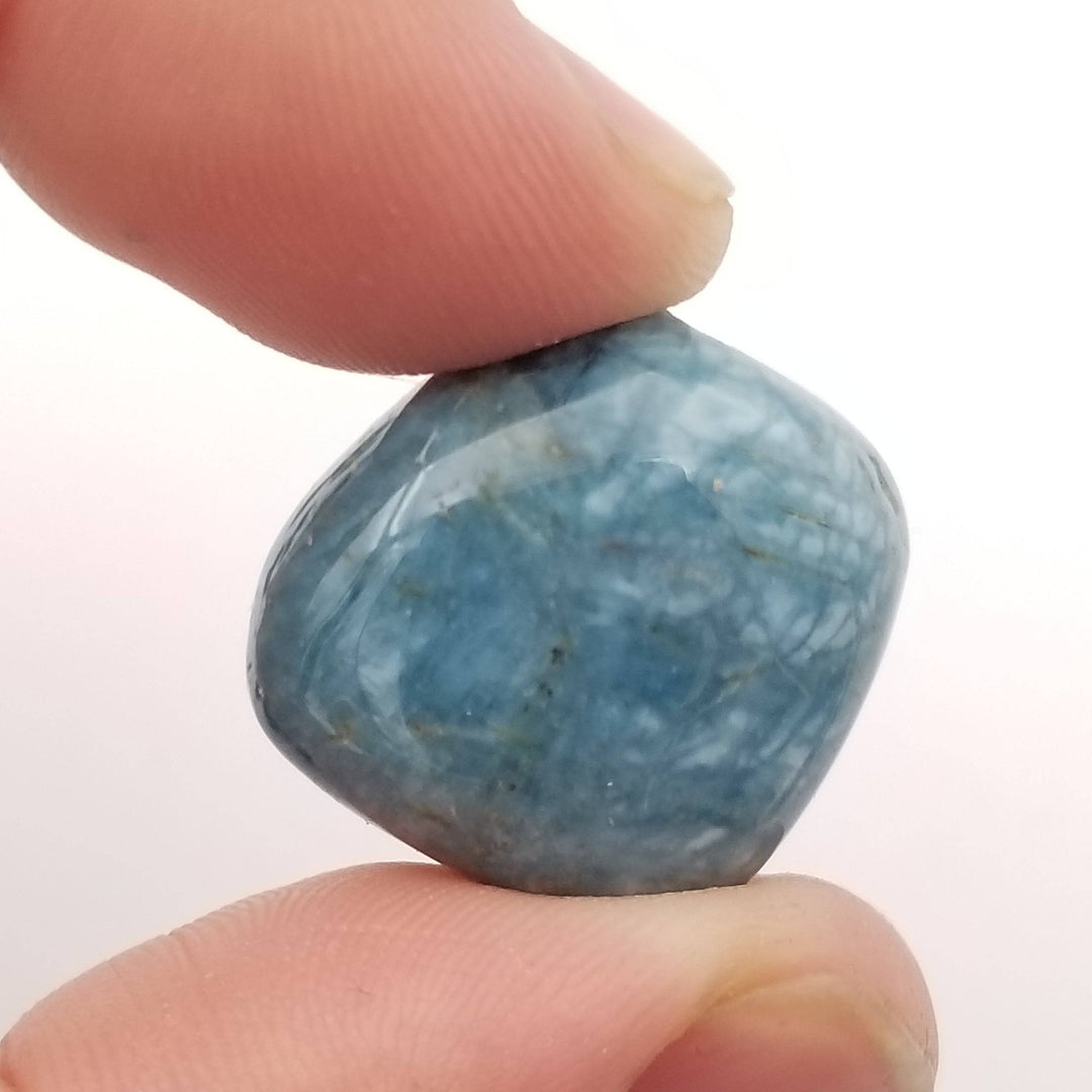 Blue Apatite Tumbled Stones 1 lb - Funky Stuff