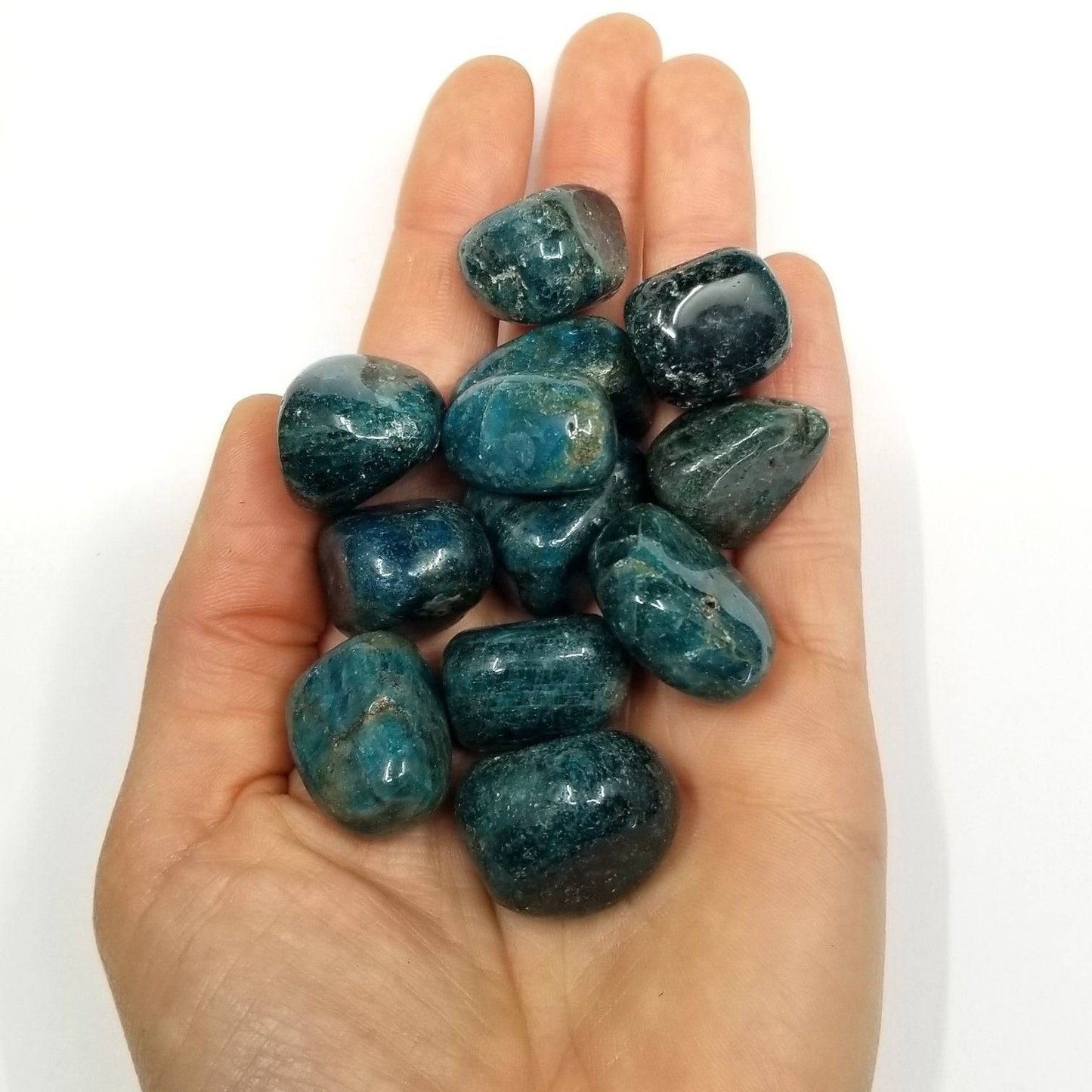 Blue Apatite Tumbled Stones 1 lb