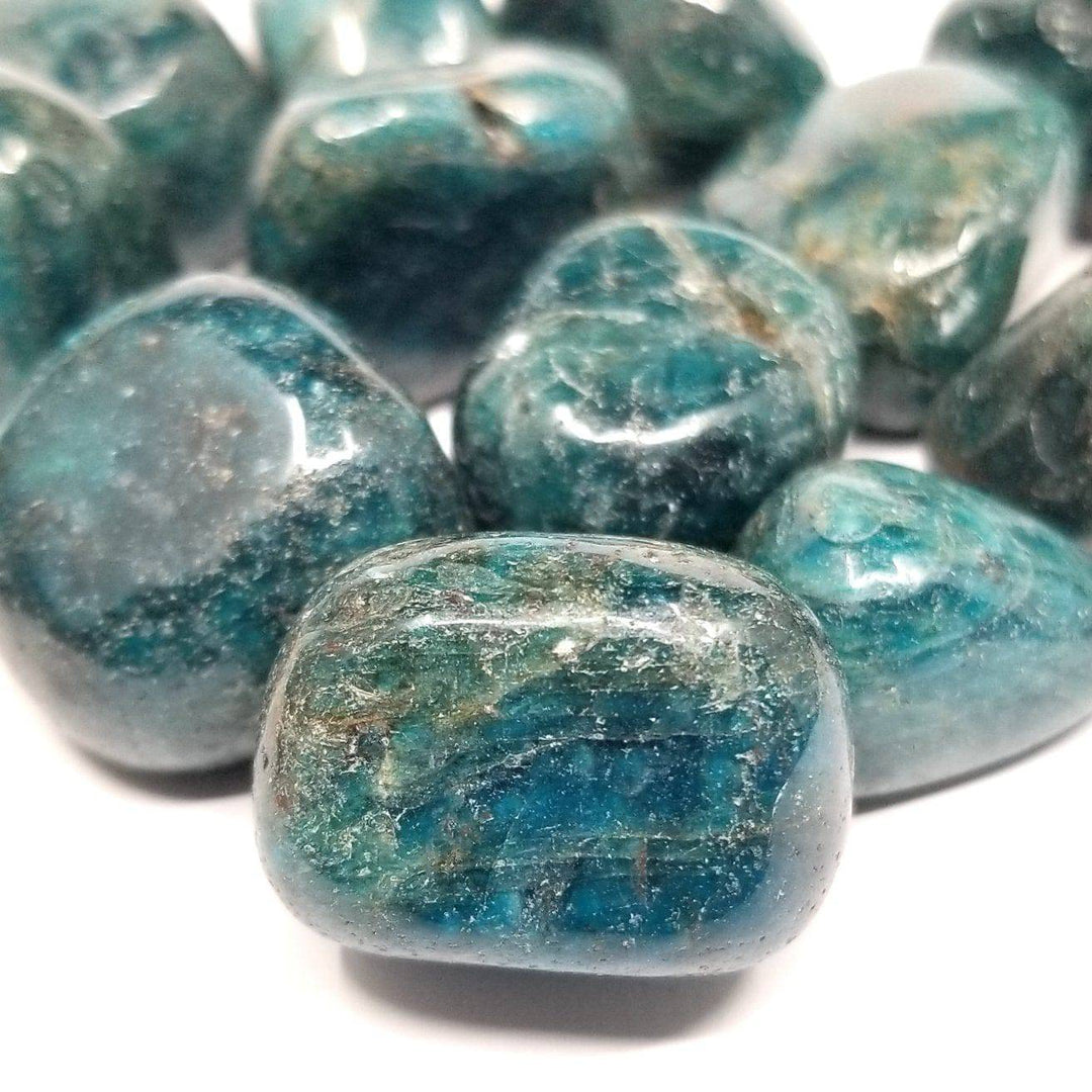 Blue Apatite Tumbled Stones 1 lb - Funky Stuff