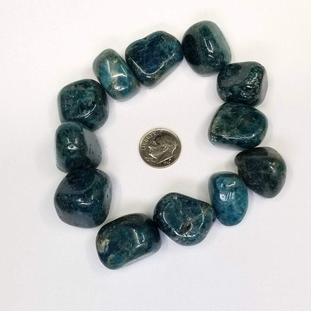 Blue Apatite Tumbled Stones 1 lb - Funky Stuff