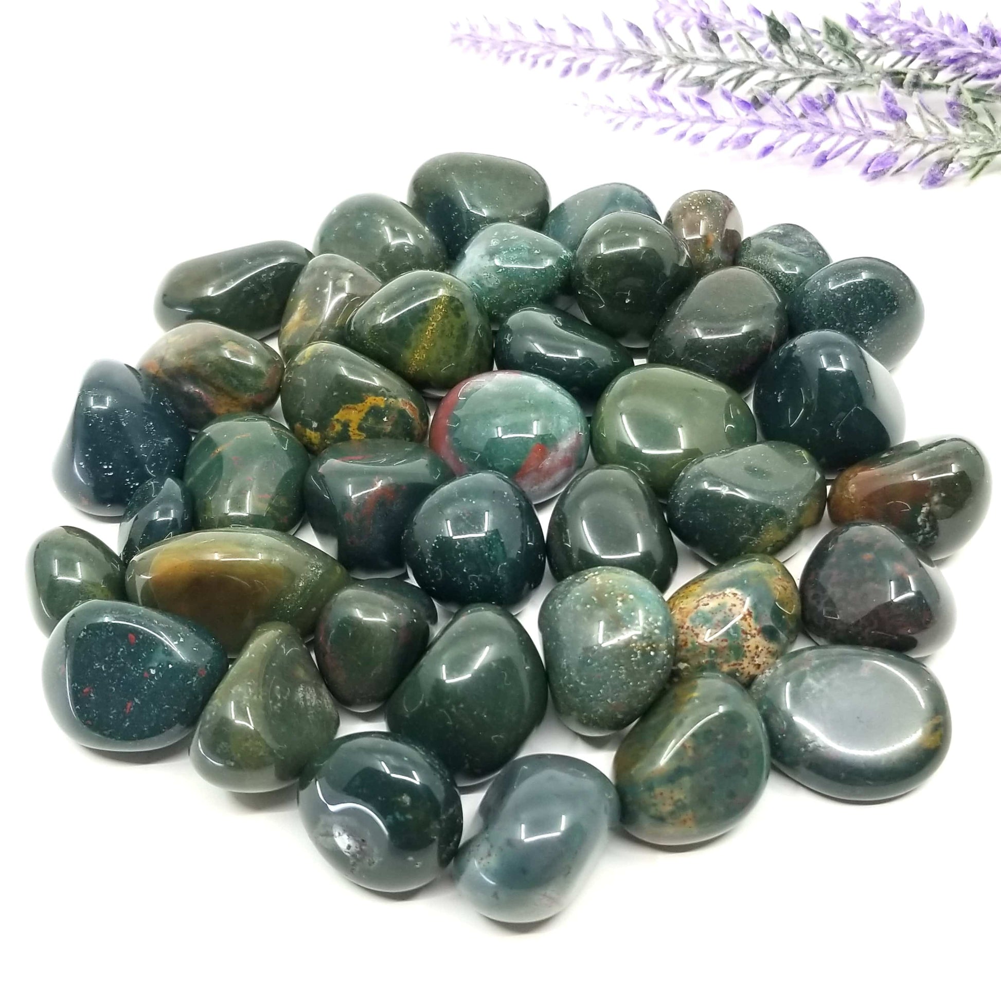 Bloodstone Tumbled Stones 1 LB - Funky Stuff