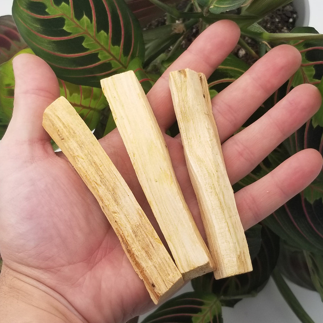 Palo Santo - 3 Pieces - Funky Stuff