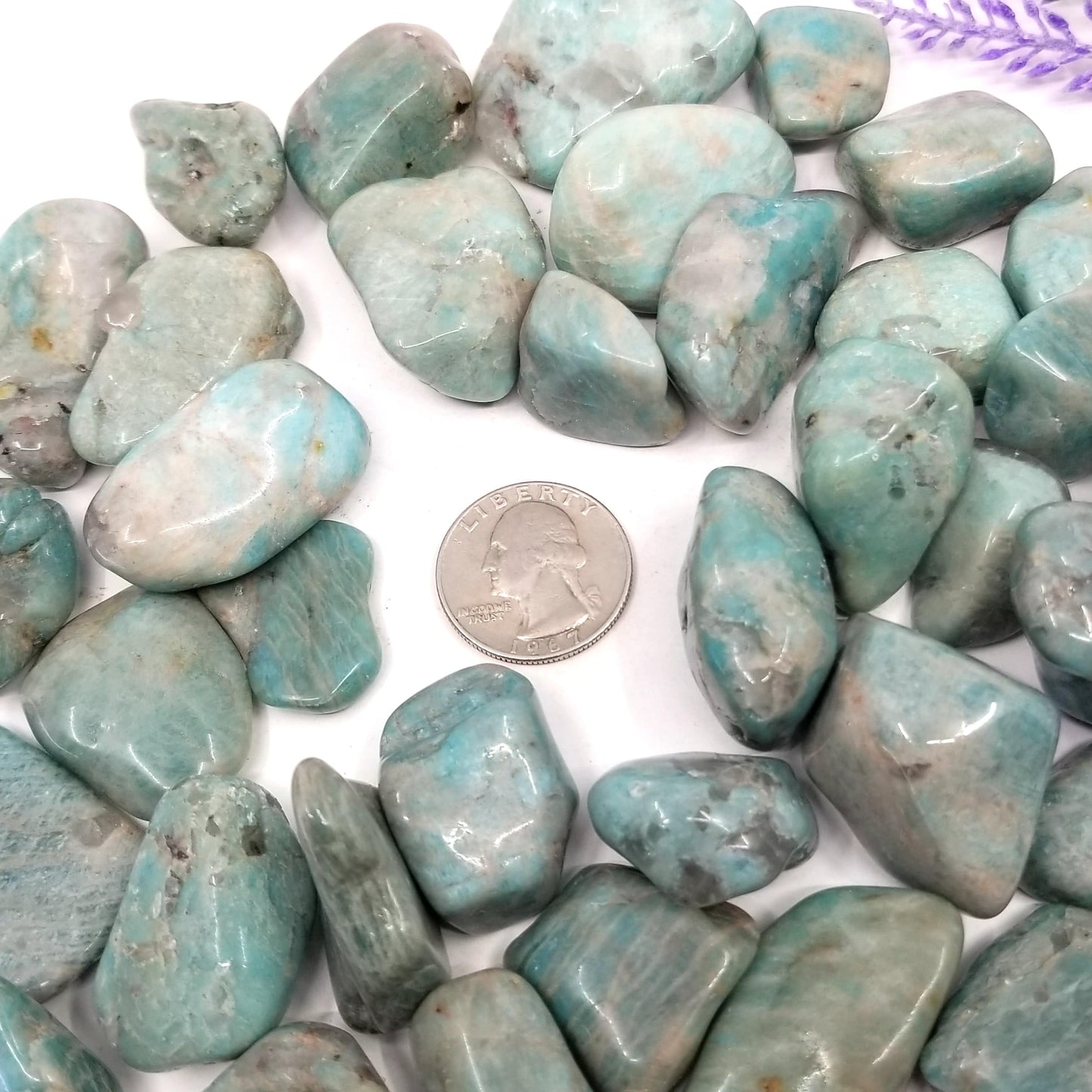 Amazonite Tumbled Stones 1 LB