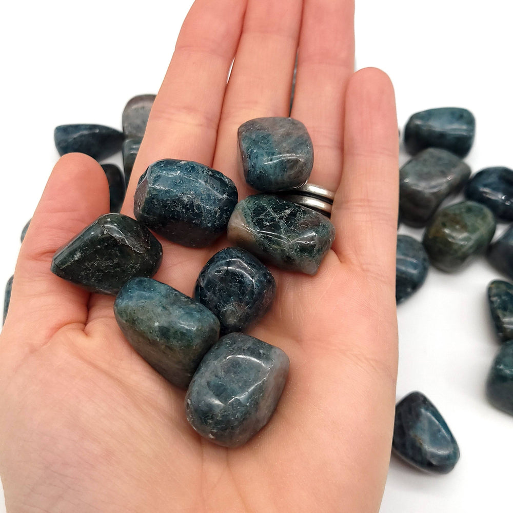 Blue Apatite Tumbled Stone - Funky Stuff