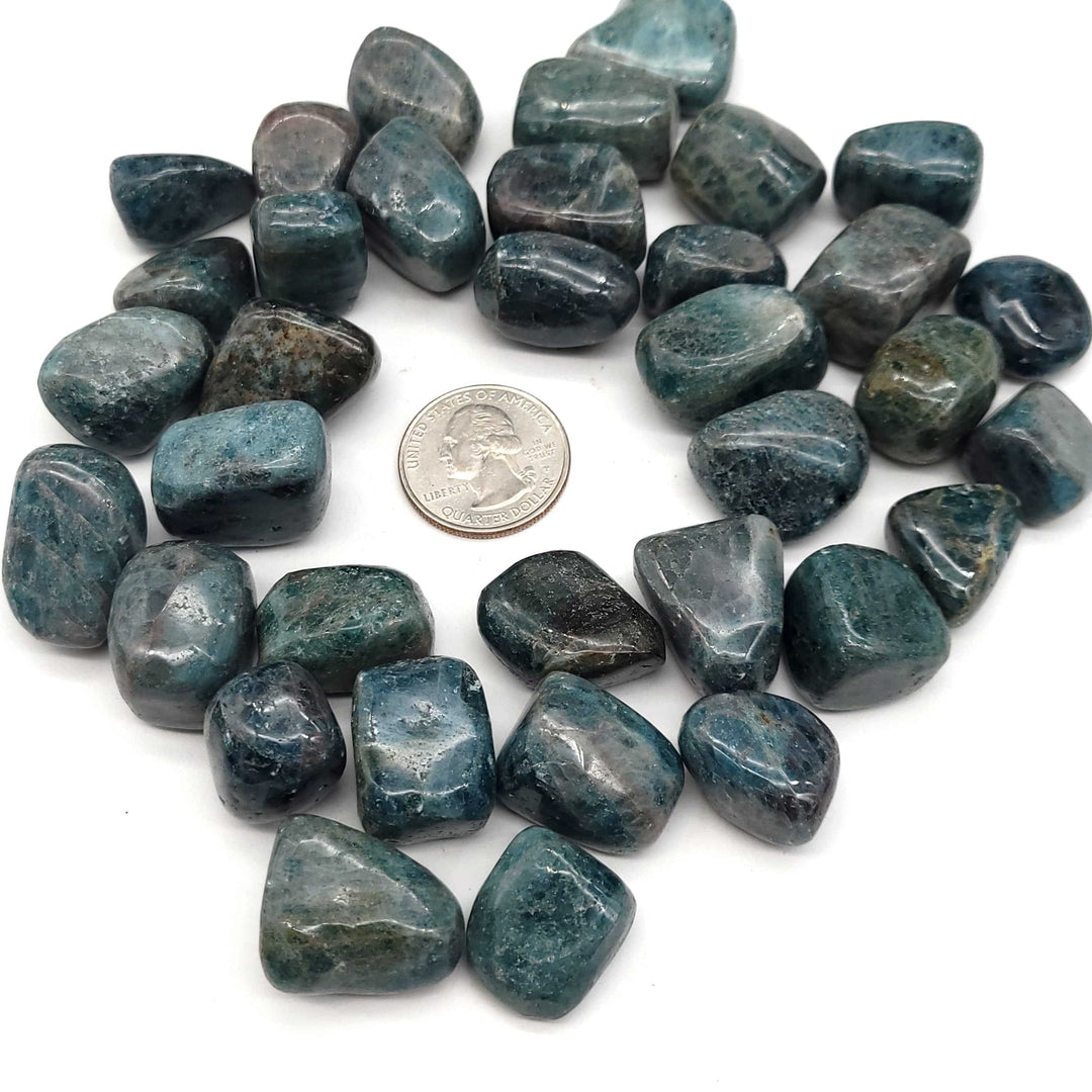 Blue Apatite Tumbled Stone - Funky Stuff