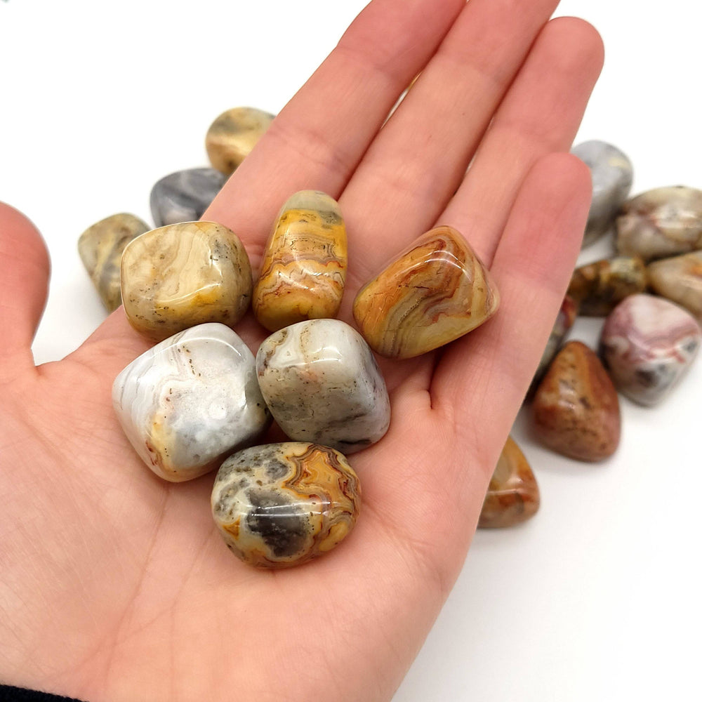 Crazy Lace Agate Tumbled Stone - Funky Stuff