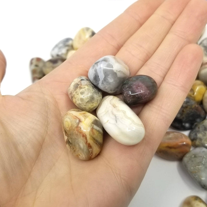 Crazy Lace Agate Tumbled Stones 1 LB - Funky Stuff