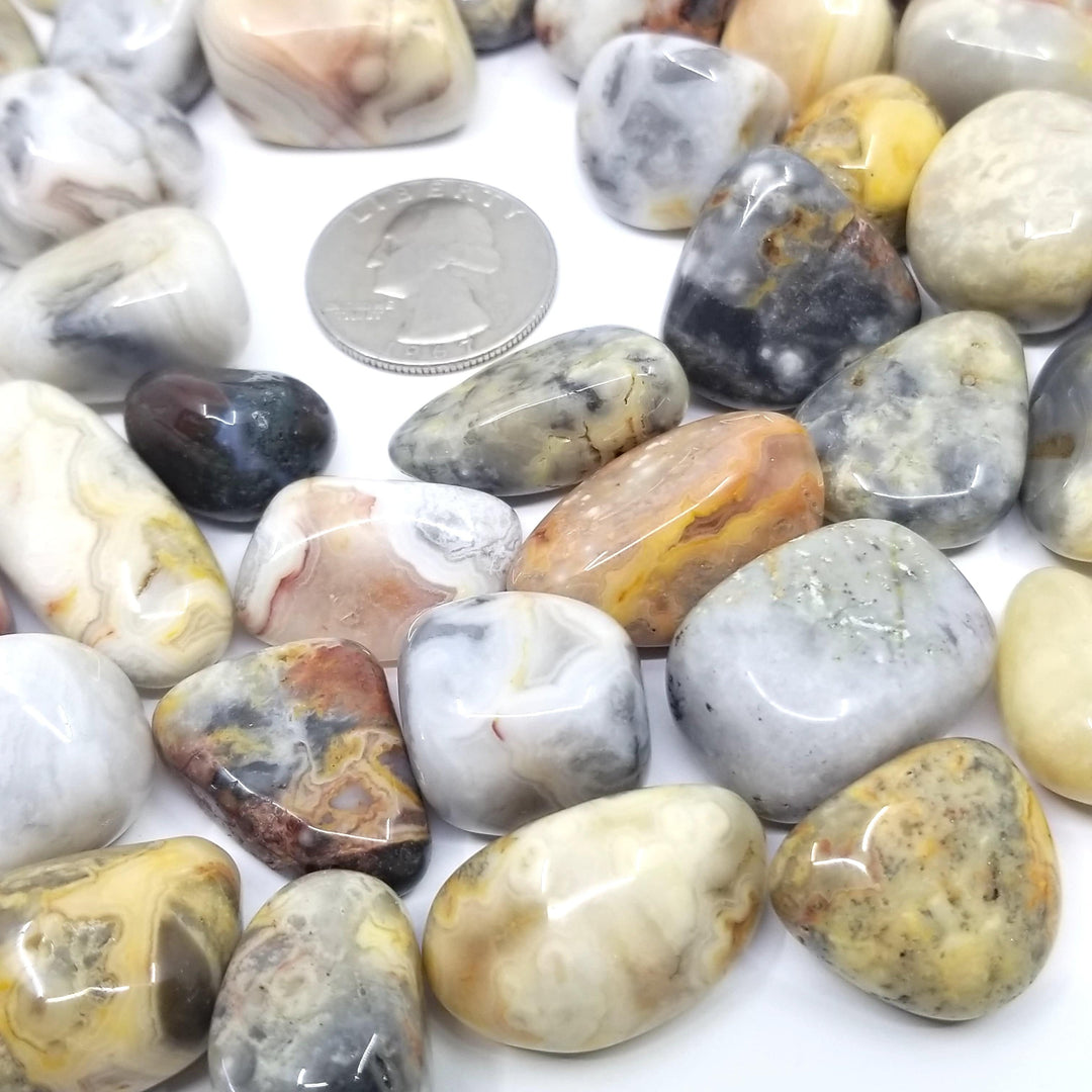 Crazy Lace Agate Tumbled Stones 1 LB - Funky Stuff