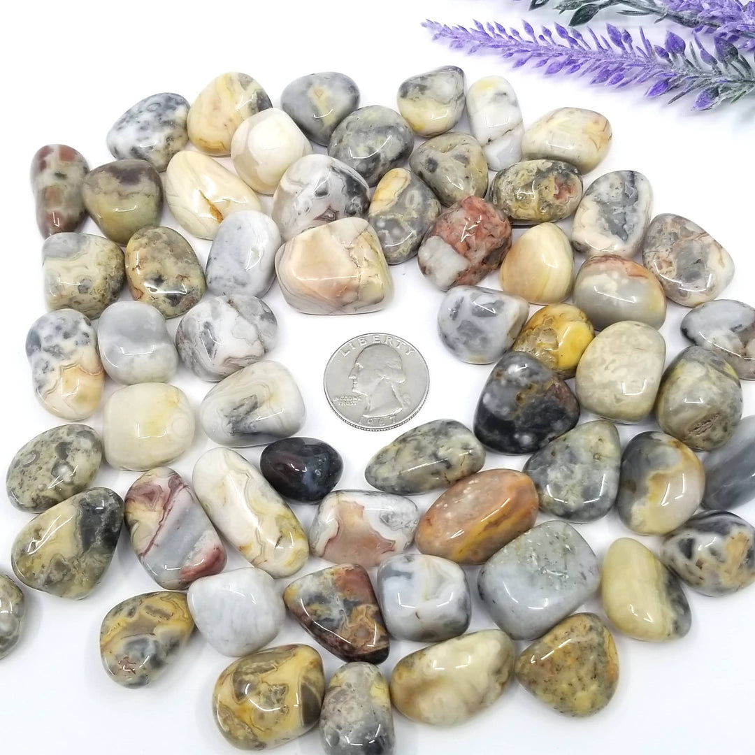 Crazy Lace Agate Tumbled Stones 1 LB - Funky Stuff