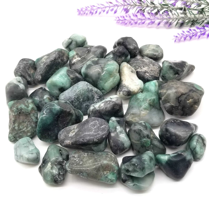 Jade (Nephrite) Tumbled Stones 1 LB - Funky Stuff