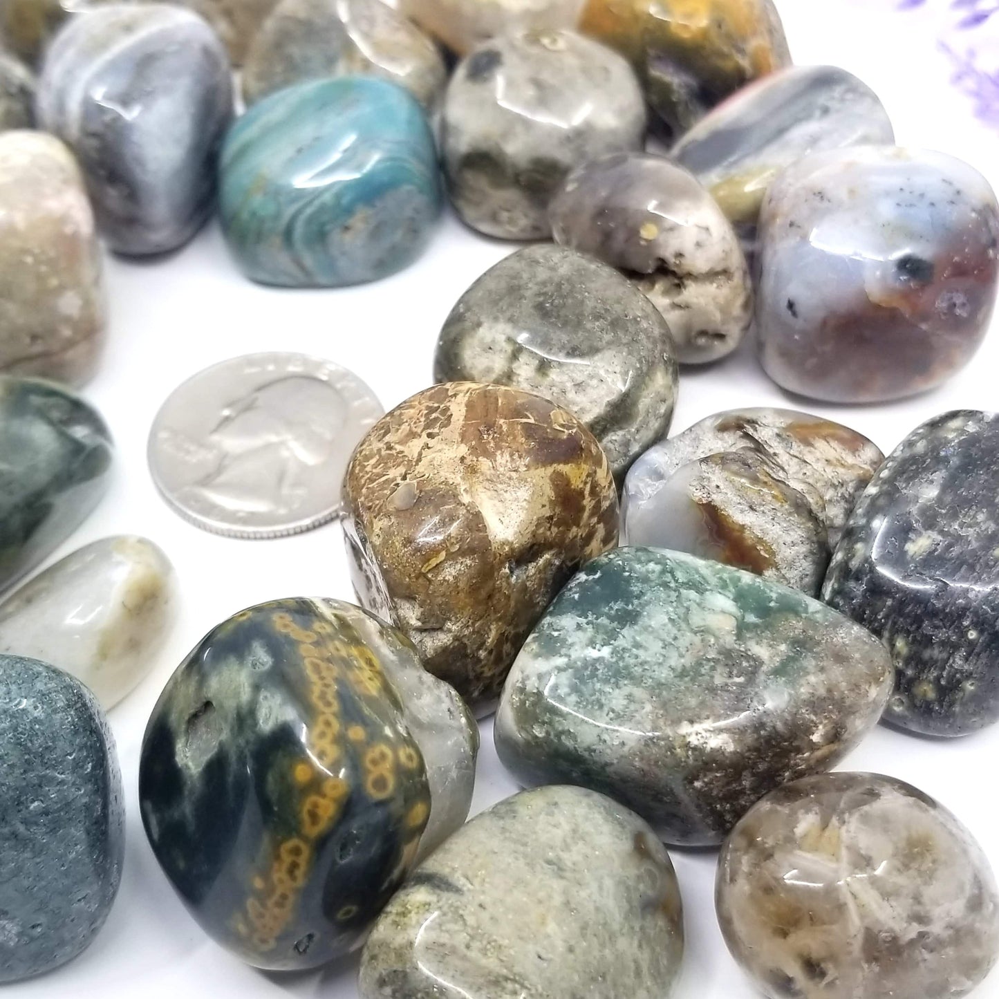 Ocean Jasper Tumbled Stones 1 LB