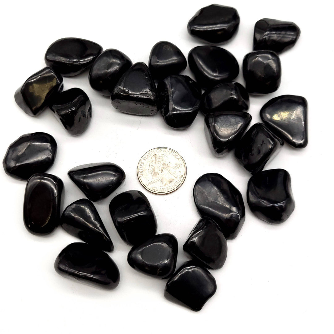 Shungite Tumbled Stone - Funky Stuff