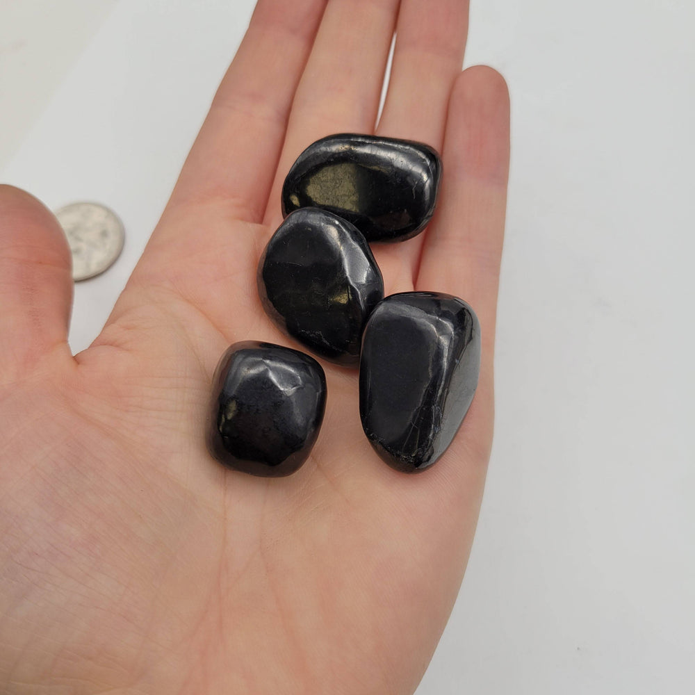 Shungite Tumbled Stone - Funky Stuff