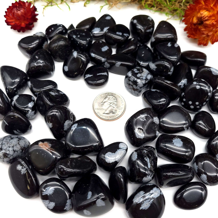 Snowflake Obsidian Tumbled Stone 1 LB - Funky Stuff