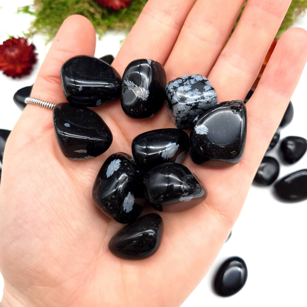 Snowflake Obsidian Tumbled Stone 1 LB - Funky Stuff