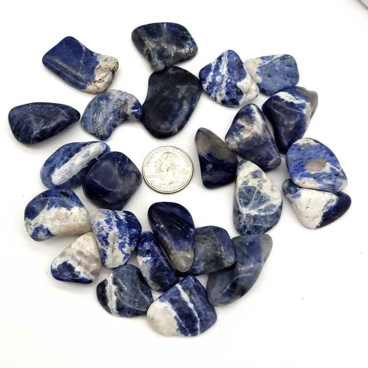 Sodalite Tumbled Stone - Funky Stuff