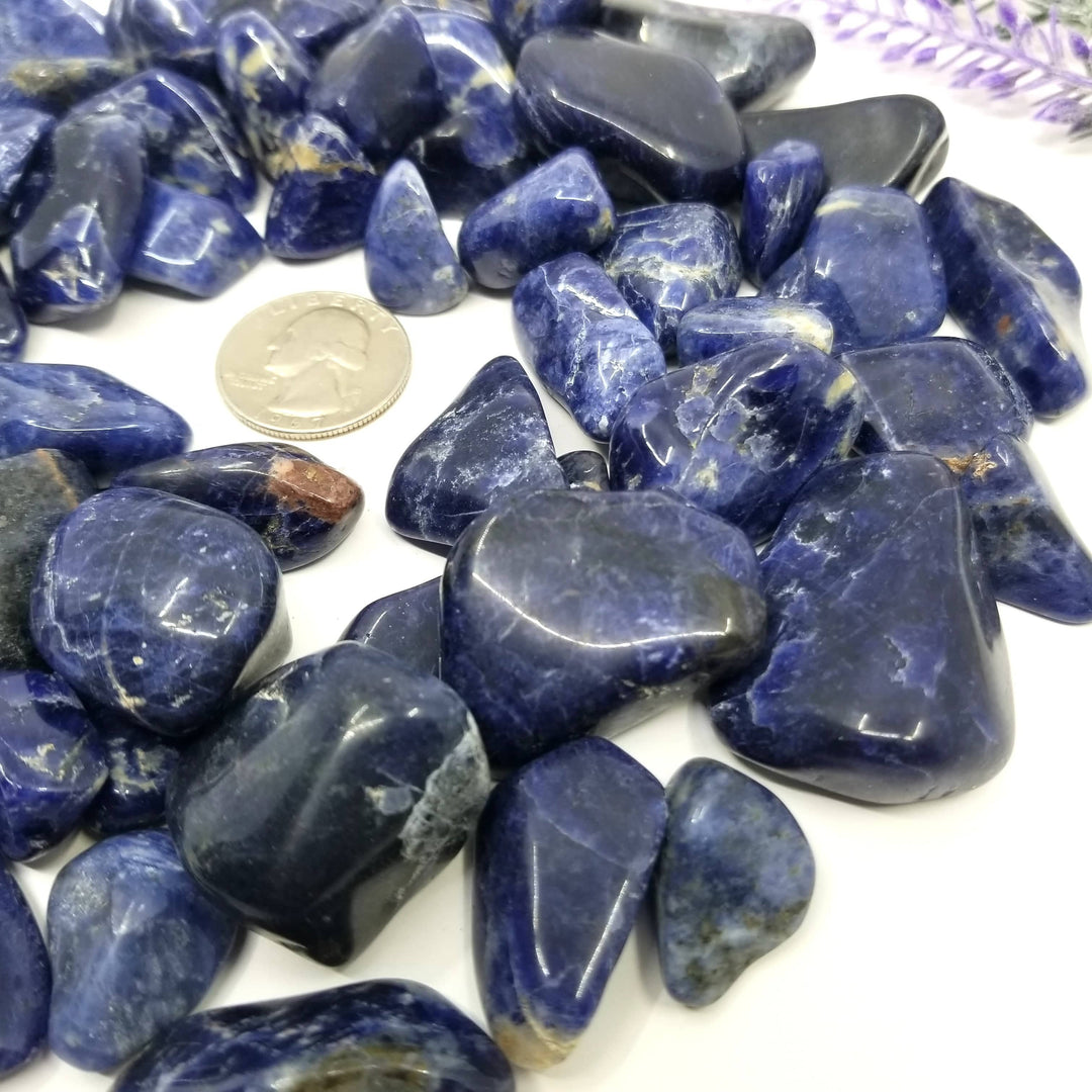 Sodalite Tumbled Stones 1 LB - Funky Stuff
