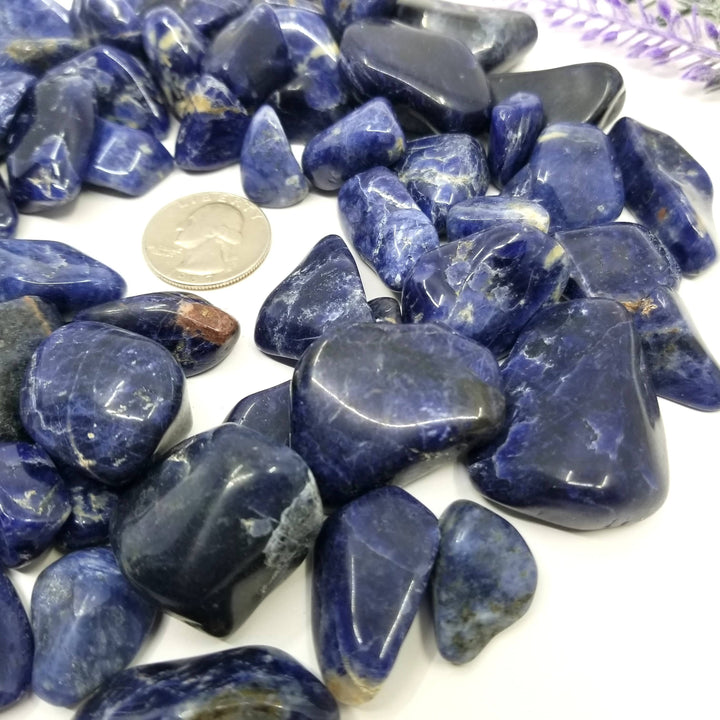 Sodalite Tumbled Stones 1 LB - Funky Stuff