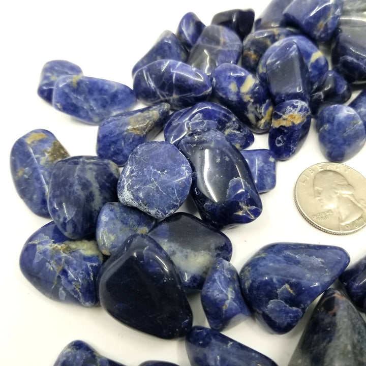 Sodalite Tumbled Stones 1 LB - Funky Stuff