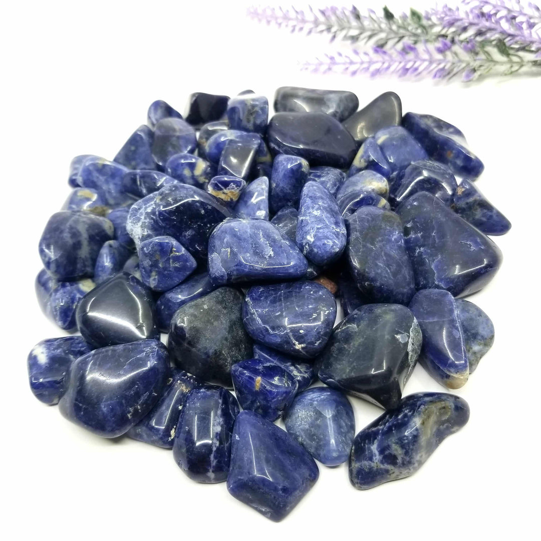 Sodalite Tumbled Stones 1 LB - Funky Stuff
