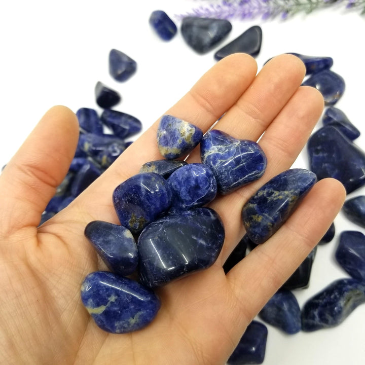 Sodalite Tumbled Stones 1 LB - Funky Stuff