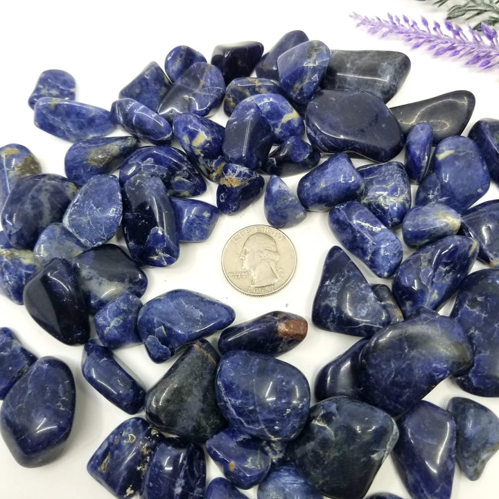 Sodalite Tumbled Stones 1 LB - Funky Stuff
