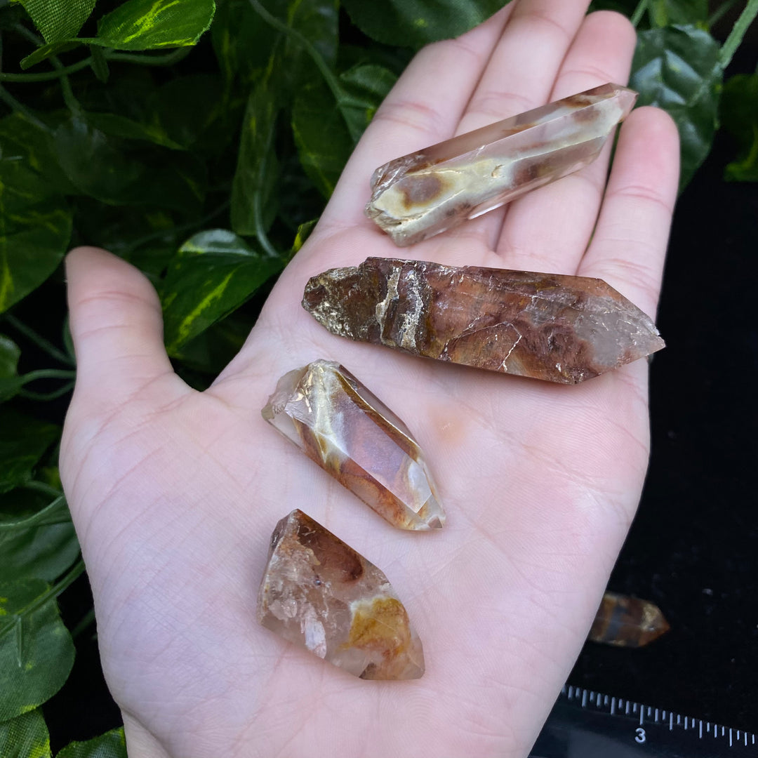 Amphibole Quartz Point (Boxed Specimen) - Funky Stuff