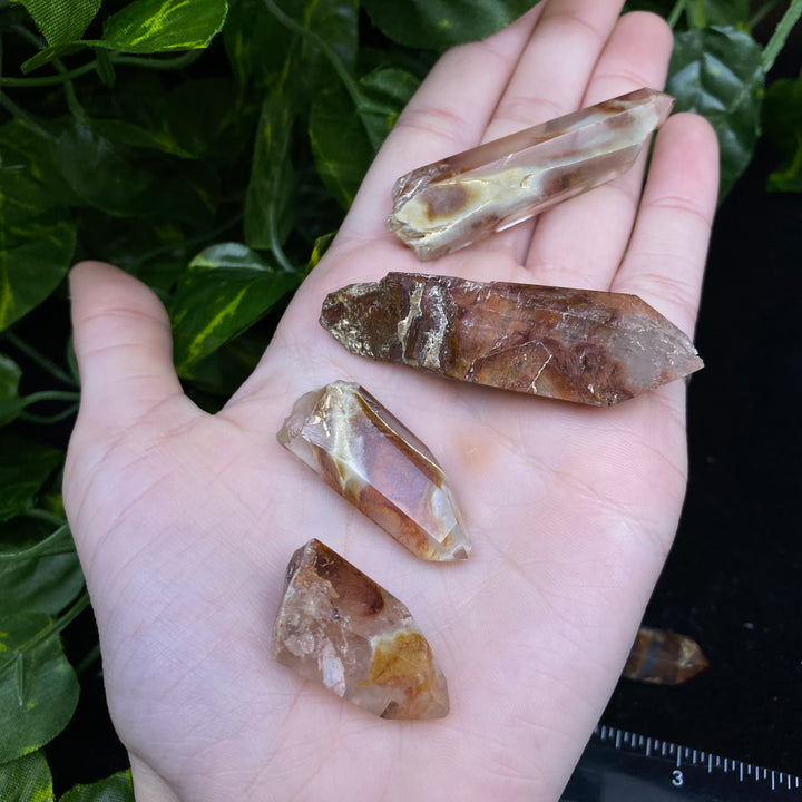 Amphibole Quartz Point (Boxed Specimen) - Funky Stuff