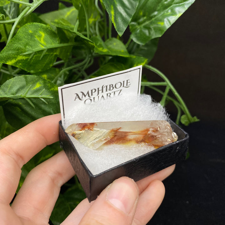 Amphibole Quartz Point (Boxed Specimen) - Funky Stuff