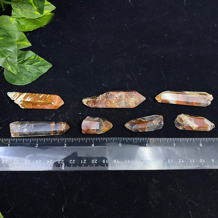 Amphibole Quartz Point (Boxed Specimen) - Funky Stuff