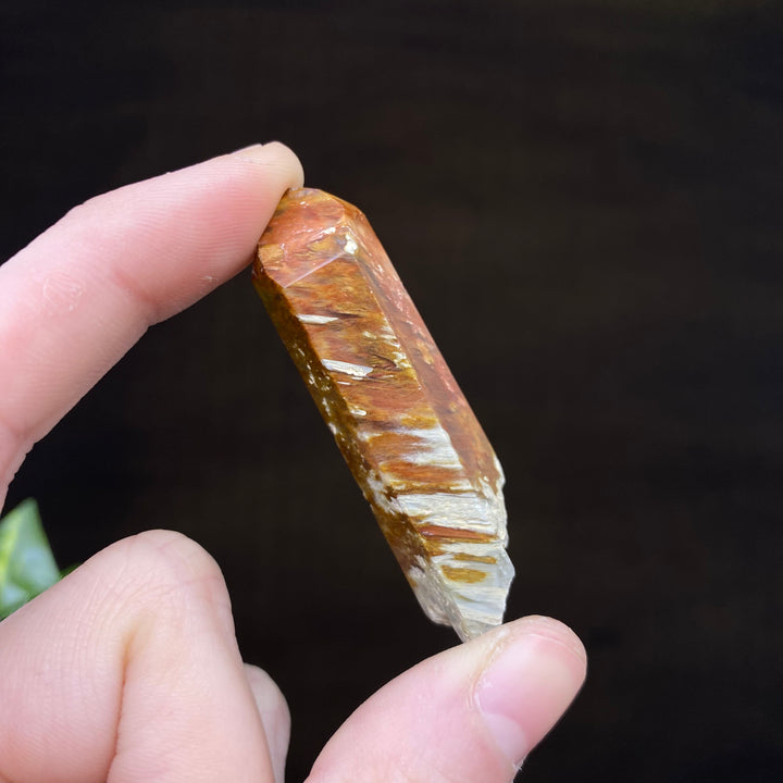 Amphibole Quartz Point (Boxed Specimen) - Funky Stuff