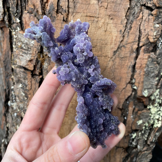 Grape Agate - Funky Stuff