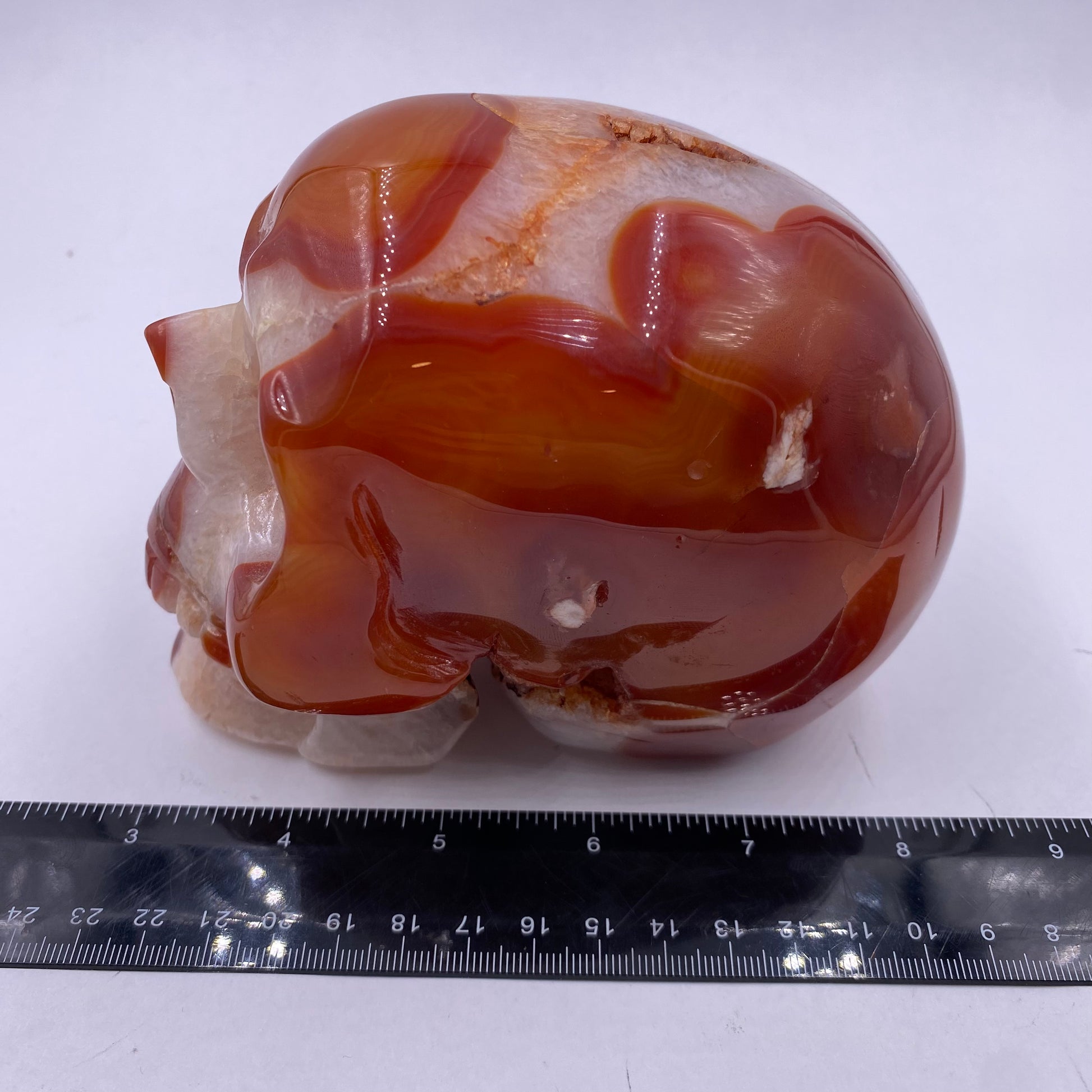 Carnelian Skull - Funky Stuff