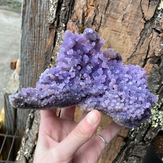 Grape Agate - Funky Stuff